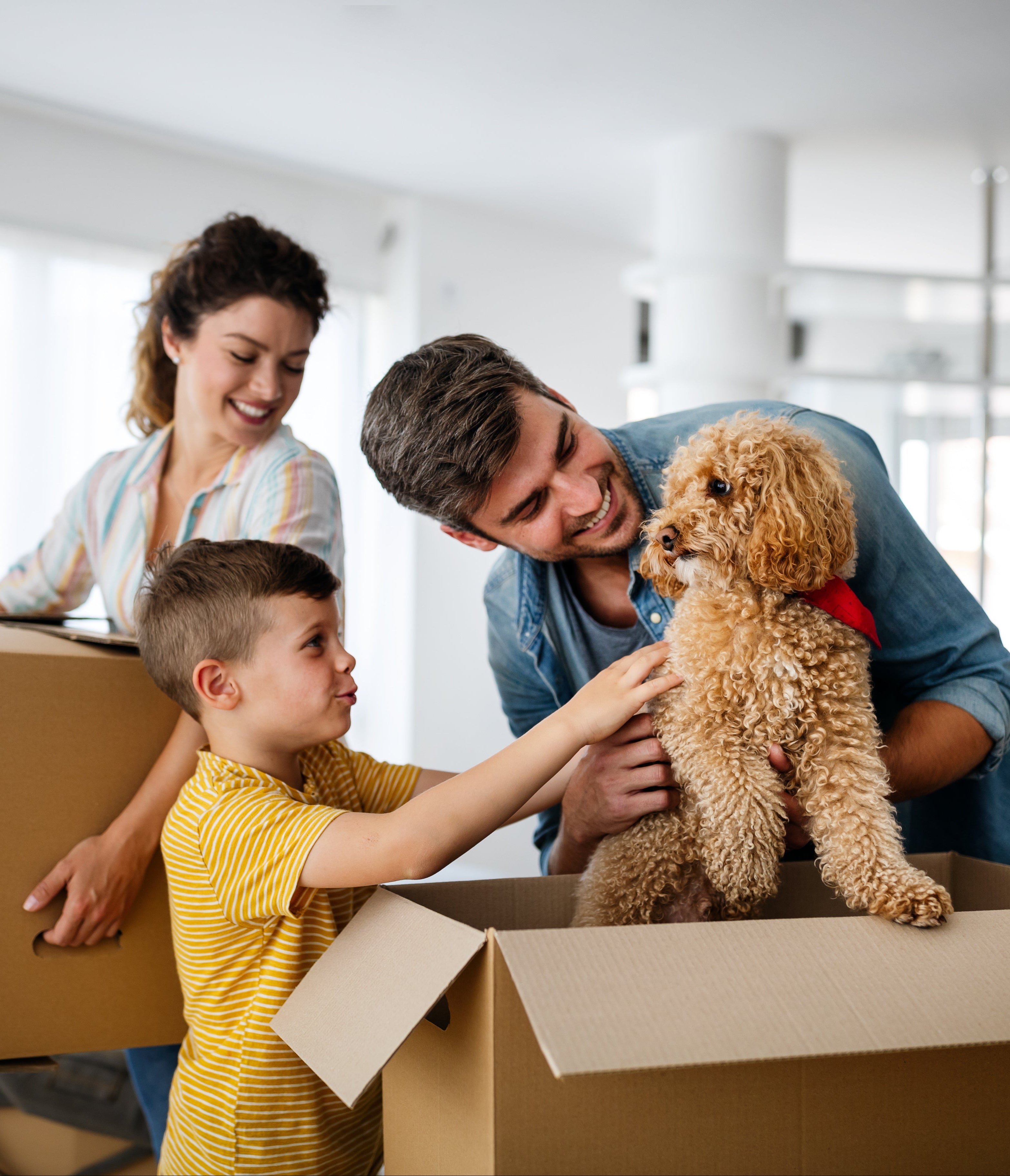 Family with a child and dog interacting with a cardboard box in a home setting