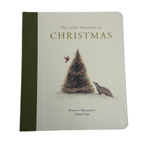 Our Little Adventures at Christmas