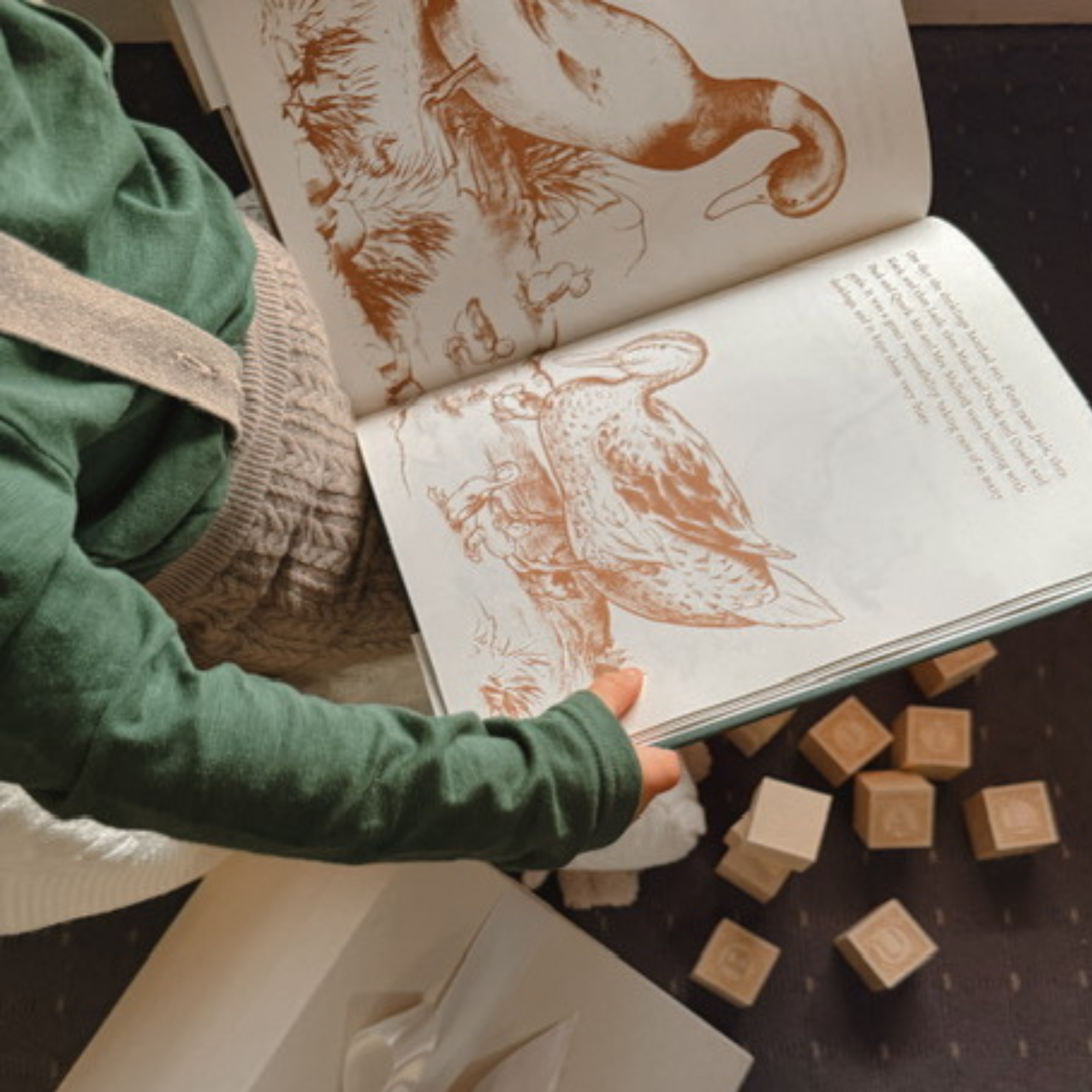 Little Tales of Ducklings Gift Set | Edition Nº 3 Wonder